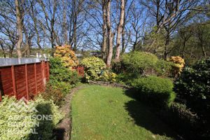 Photo 2- click for photo gallery